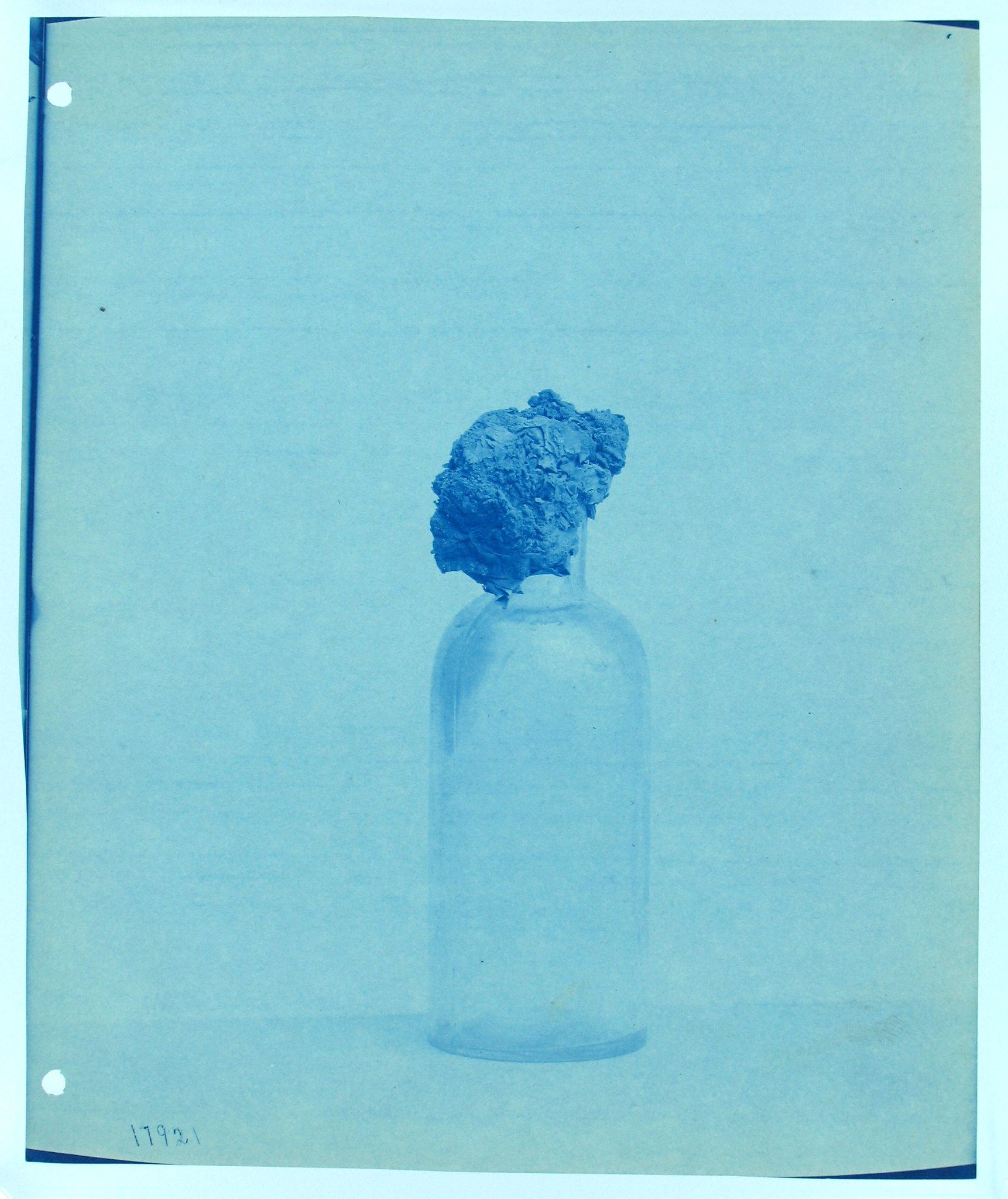 Cyanotype photograph of a glass bottle containing a specimen in liquid.