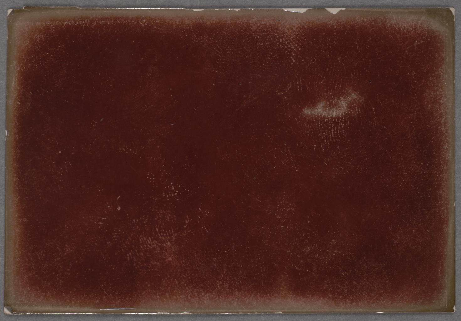 Close-up of a dark reddish-brown textured surface.