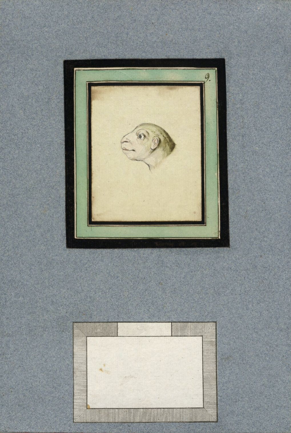 A vintage-style drawing of a reptile head within a series of decorative frames, set against a textured, light-blue background.