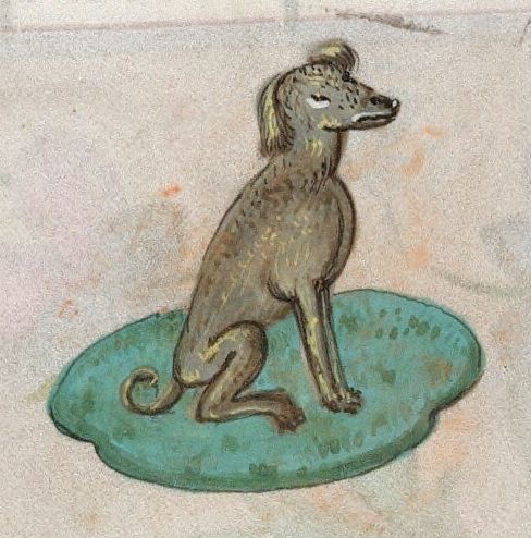 A medieval-style illustration of a brown dog sitting on a green patch.
