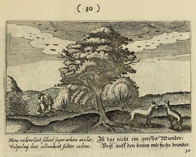 An old engraving showing a tree with birds, two foxes, and a person with a staff in a landscape.