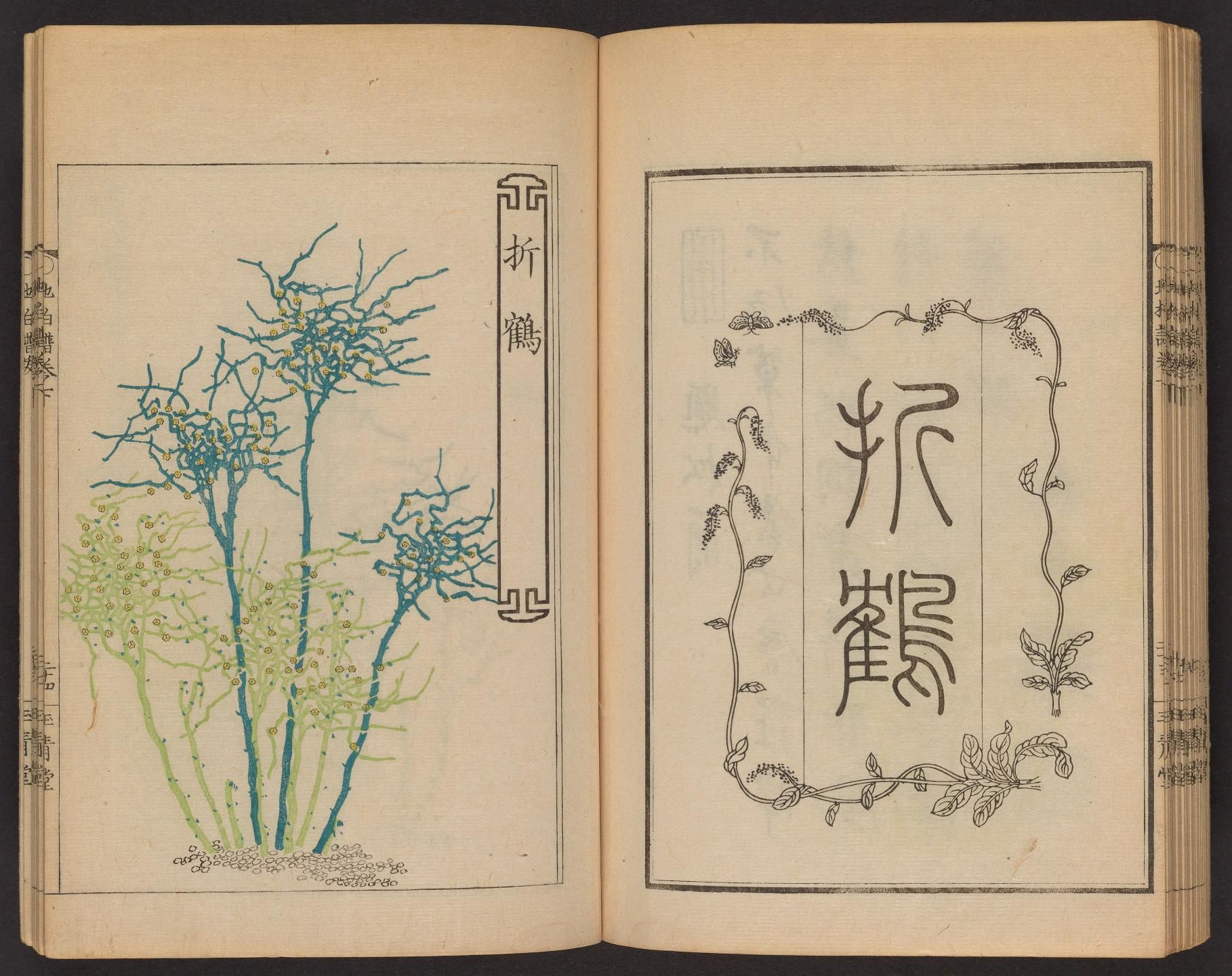 Open book with botanical illustrations and Chinese characters.