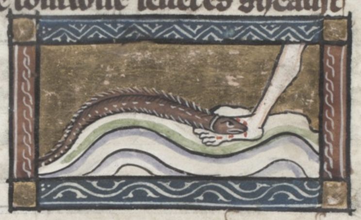 Medieval illustration of a hand gripping the head of a dragon in water.
