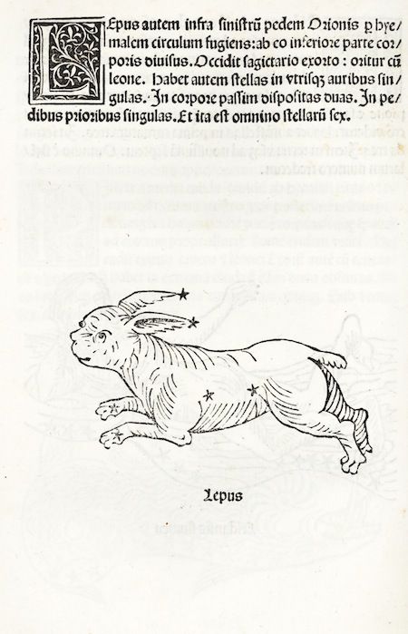 Vintage woodcut illustration of a rabbit (Lepus) with stars on its body, accompanied by Latin text and an ornate initial letter.