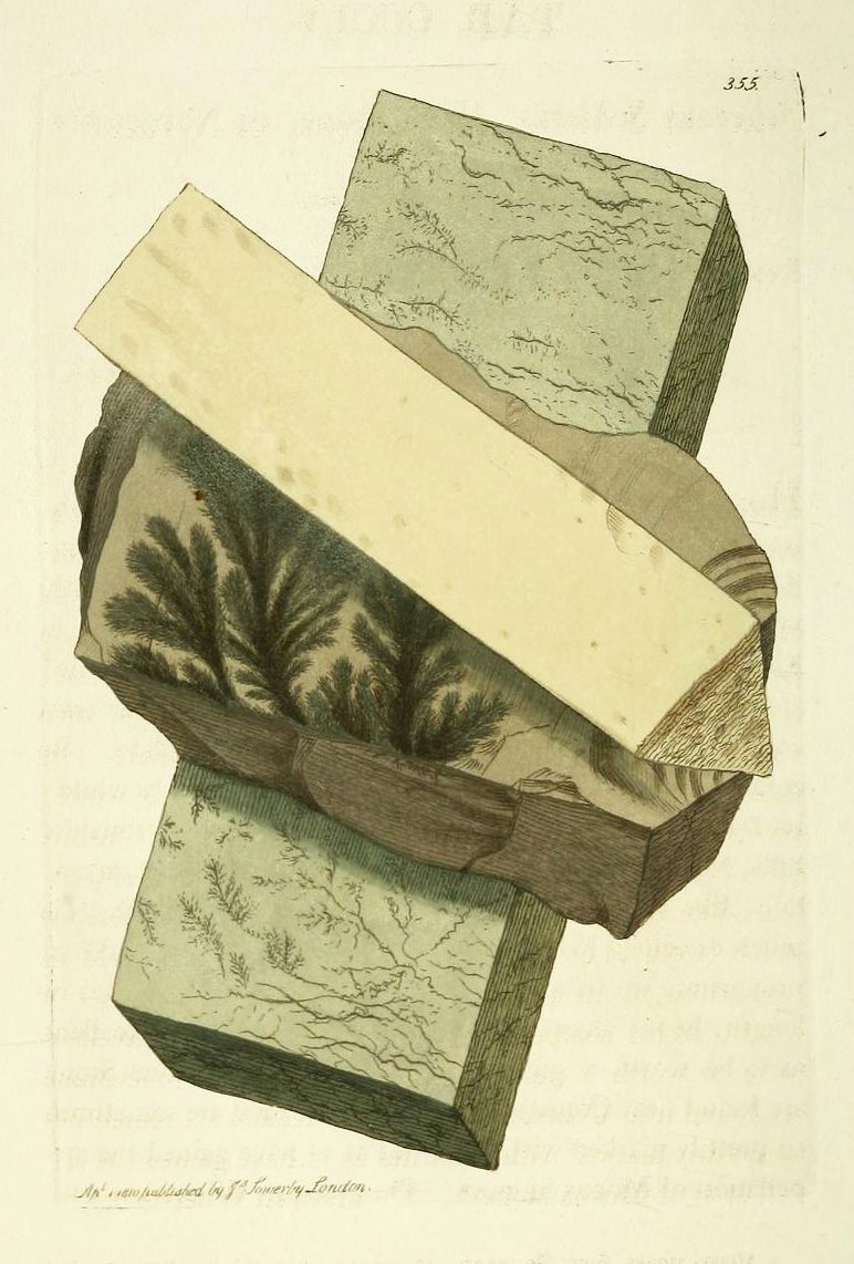 Vintage illustration of four stacked mineral specimens with internal structures, from a scientific publication.