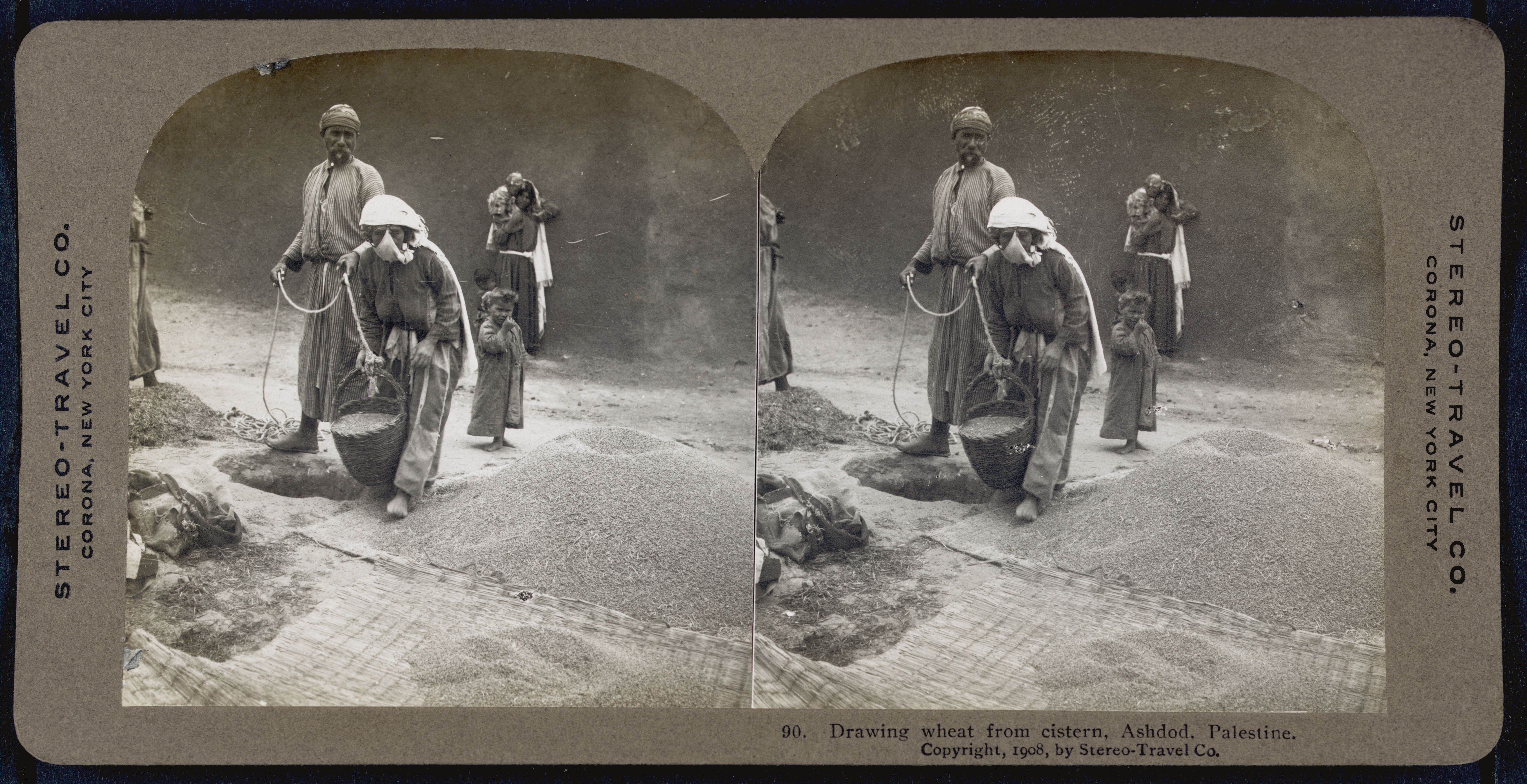 Stereo card image from 1908 titled "Drawing wheat from cistern, Ashdod, Palestine." It shows a group of men drawing wheat from a stone cistern.