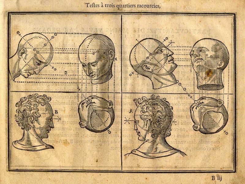 Vintage anatomical study of human heads in a grid of eight drawings, with lines and dots indicating proportions.