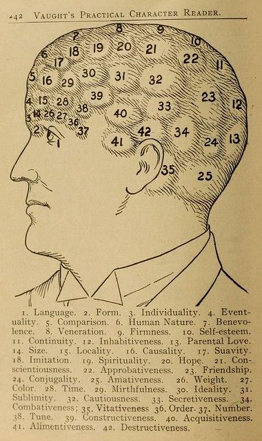 Vintage illustration of a side profile of a human head with numbered areas corresponding to character traits.