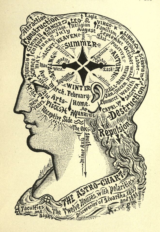 Vintage astrological chart illustration of a man's head in profile filled with zodiac signs and symbols.