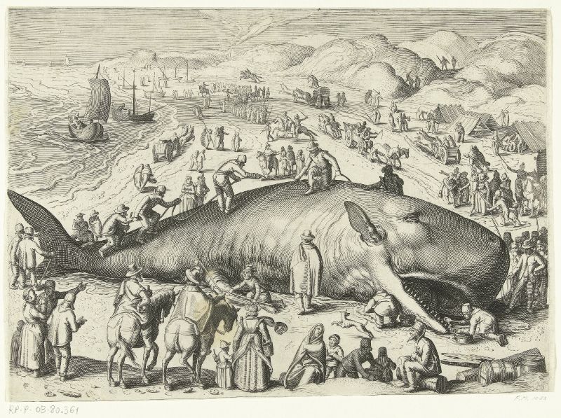 A black and white engraving of a large whale beached on a shore, surrounded by a bustling crowd of people.