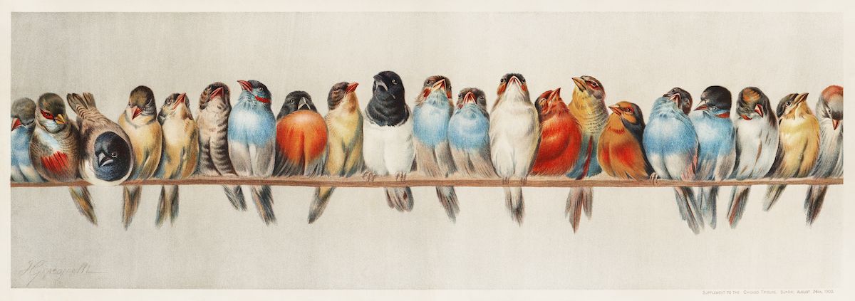 A long, panoramic watercolor painting depicts a row of various birds perched on a thin, dark wire.