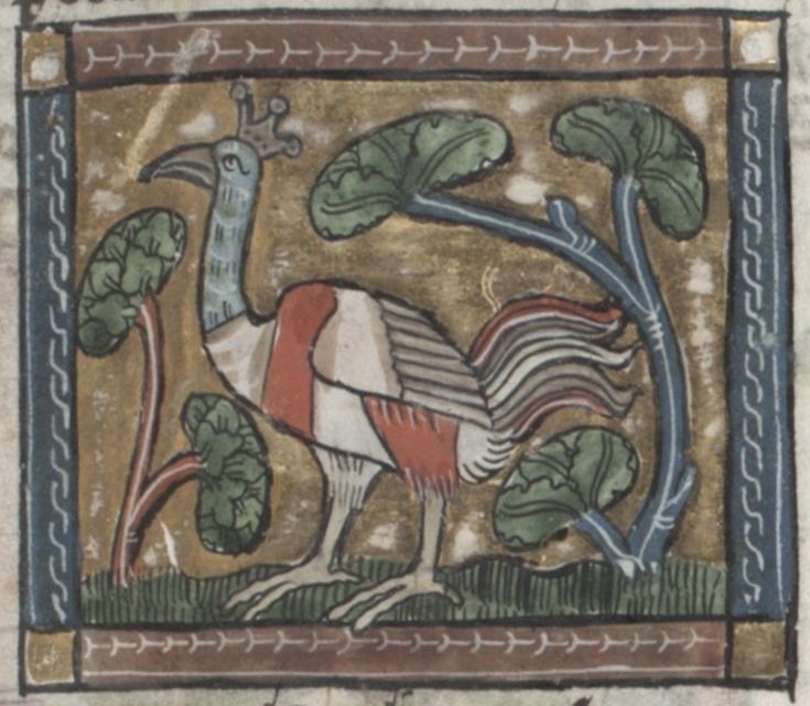 Medieval illuminated manuscript illustration of a peacock standing amidst stylized plants, framed by a geometric border.