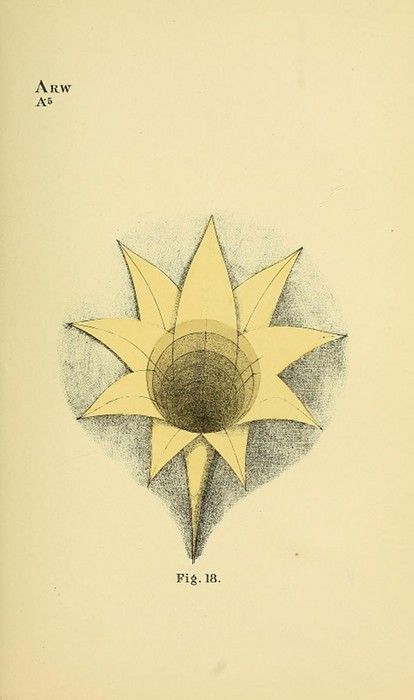 Vintage diagram of a star-shaped geometric figure with a dark central circle and triangular petals, labeled 'Fig. 18' and marked 'ARW A5'.