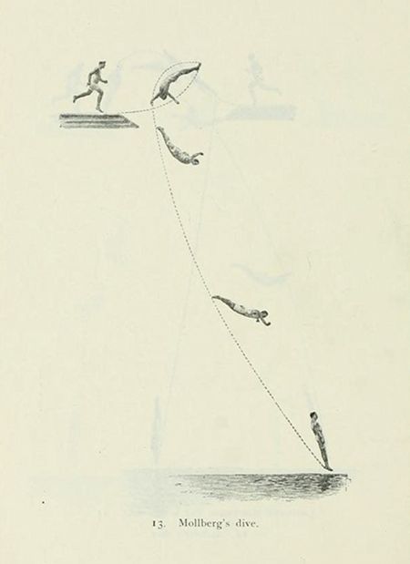 Vintage illustration of a diver in mid-air, showing the stages of a dive labeled 'Mollberg's dive'.
