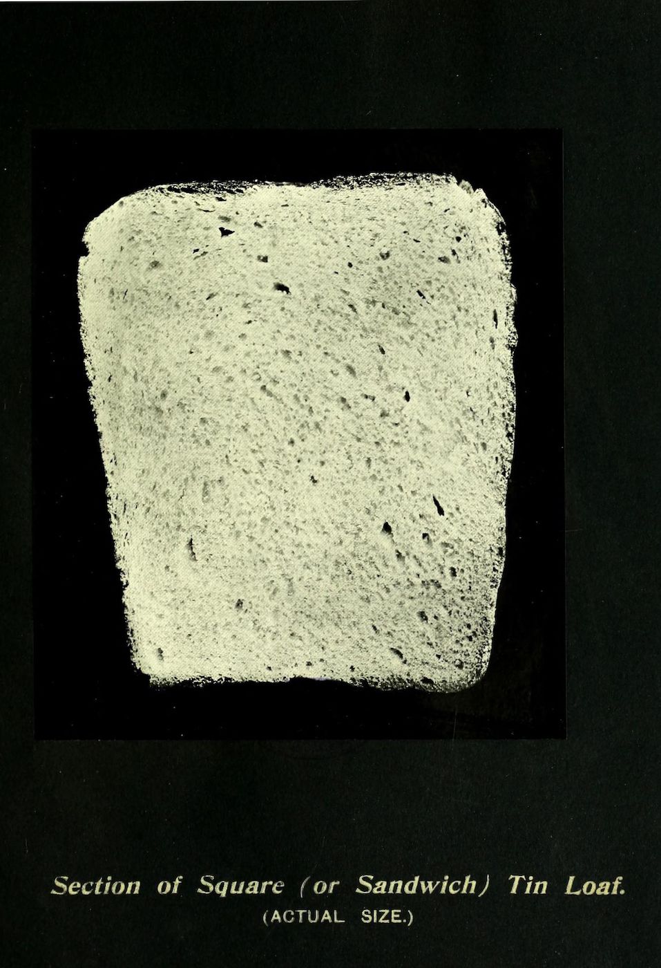 A vintage illustration of a slice of square tin loaf bread against a black background.