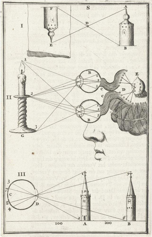 A black and white engraving depicting a series of diagrams related to optics and vision.