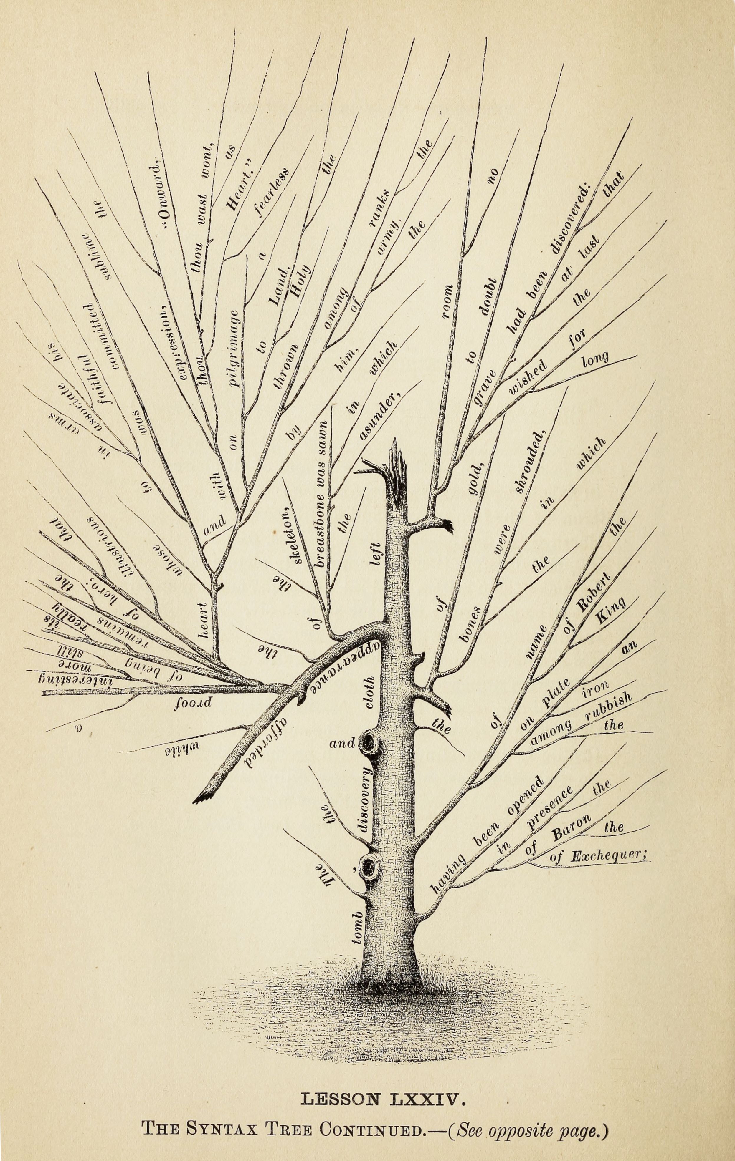 Vintage illustration of a syntax tree with branches adorned with words and phrases, used as a visual aid for teaching grammar.