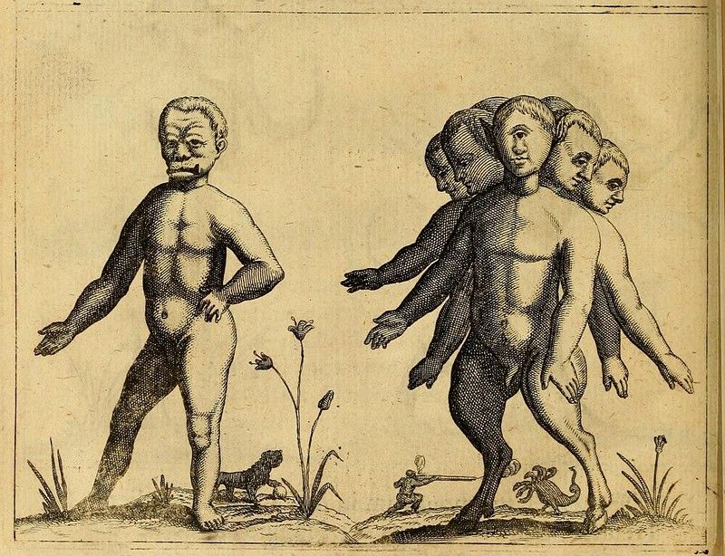 Vintage illustration of two abnormal infants, one with a large head and the other with four heads stacked on a single body, surrounded by plants and small animals.