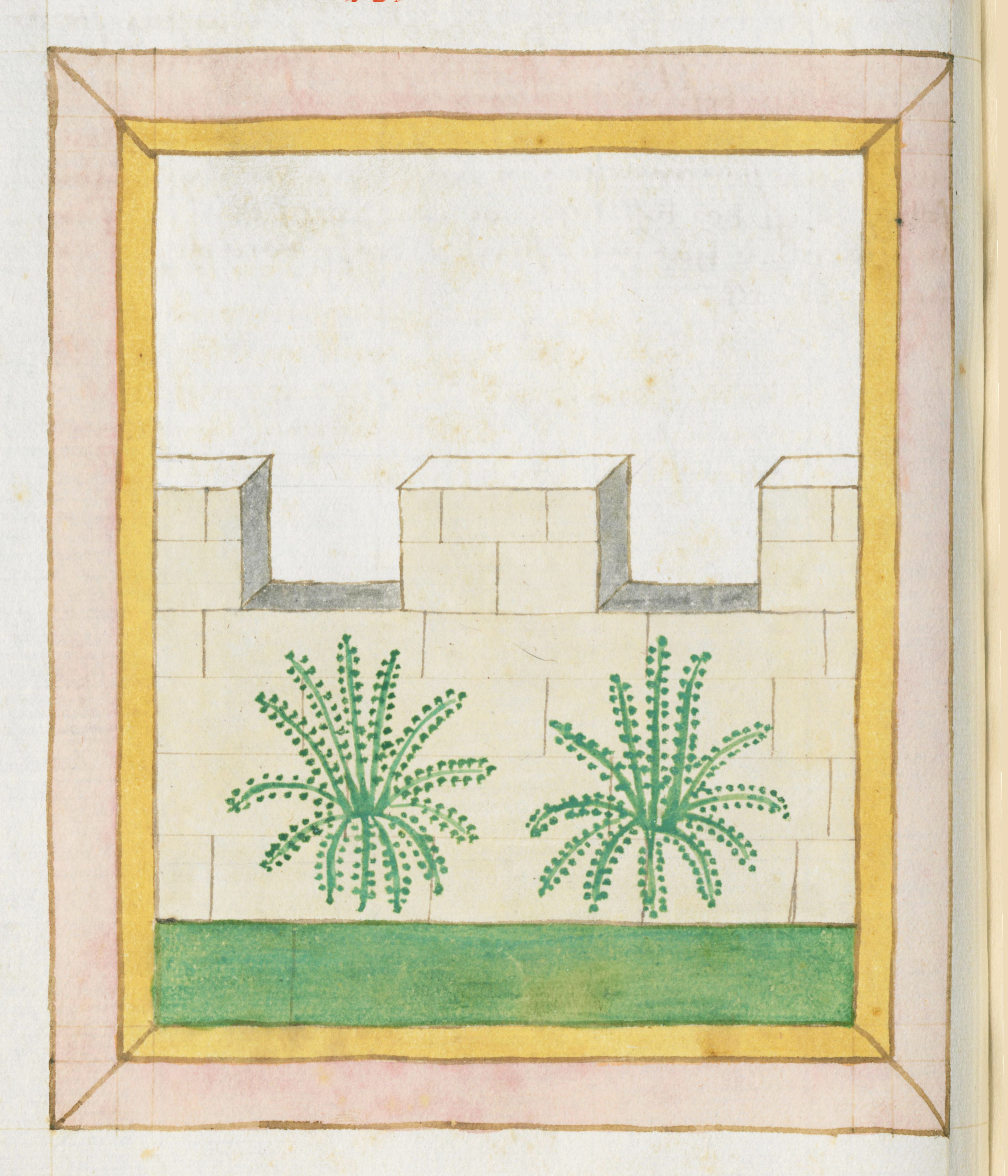 A framed illustration of a walled garden with two stylized plants and a green lawn.