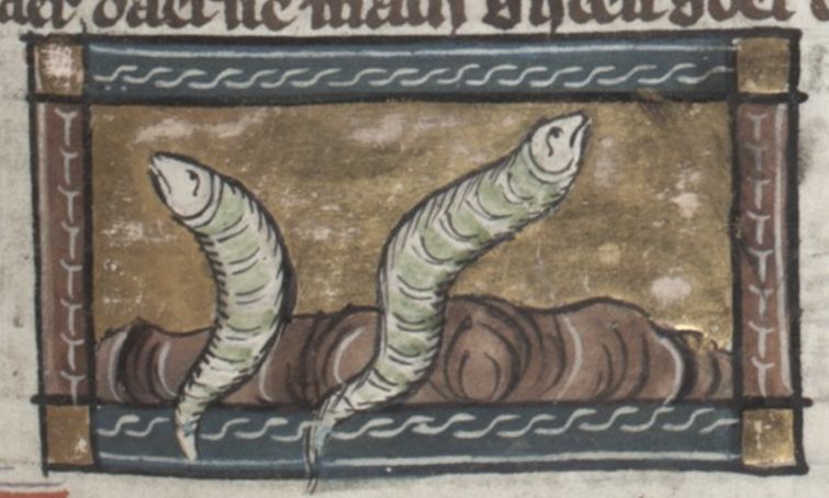 Medieval illustration of two fish swimming in water, framed by a decorative border.