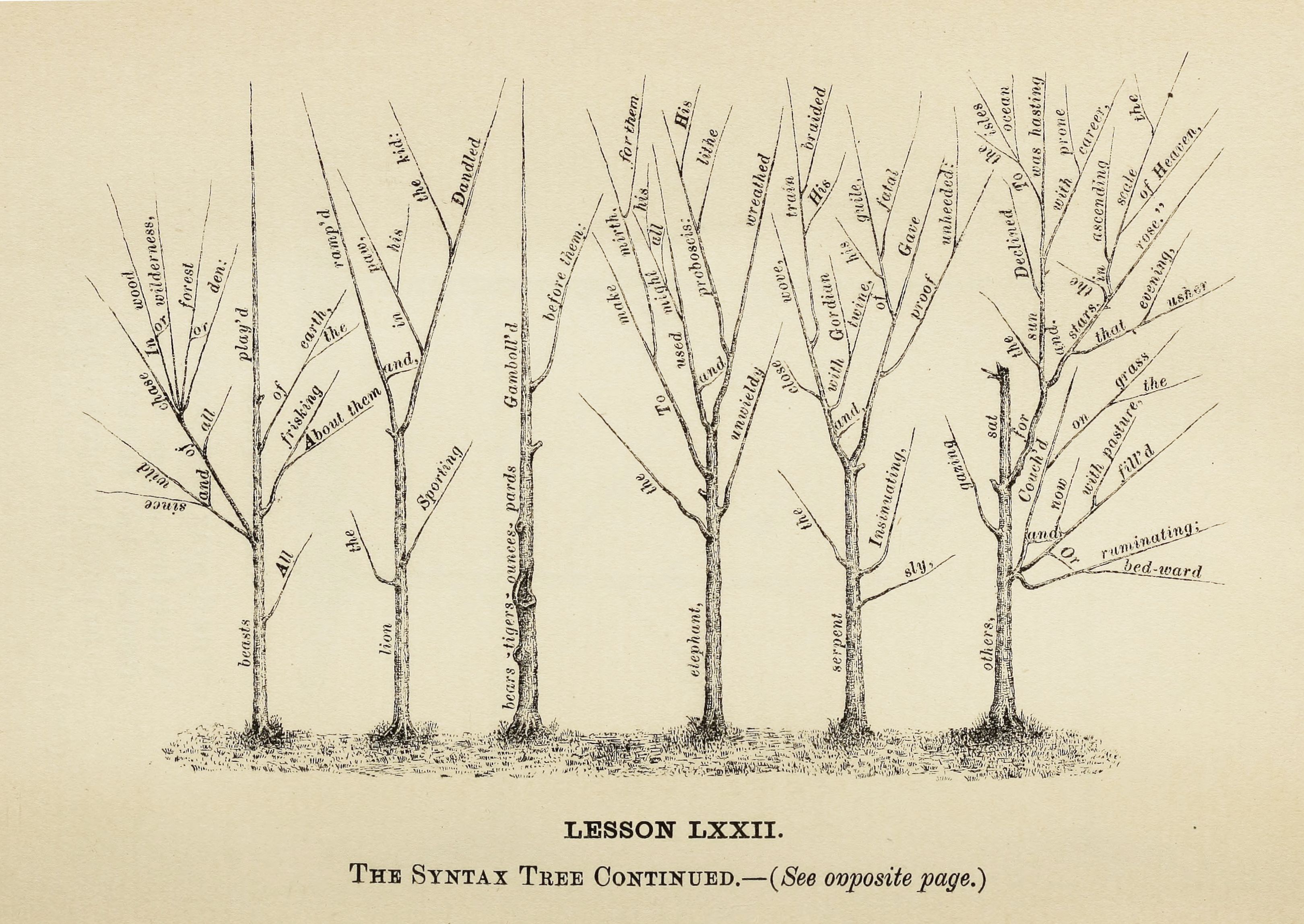Vintage illustration of a syntax tree with words as leaves.