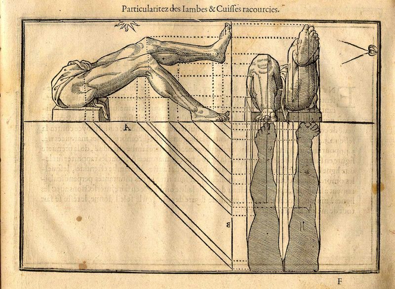 A detailed anatomical illustration of legs and thighs, with a reclining figure, a grid of lines, and vertical leg studies, accompanied by dense text in an old-style font.