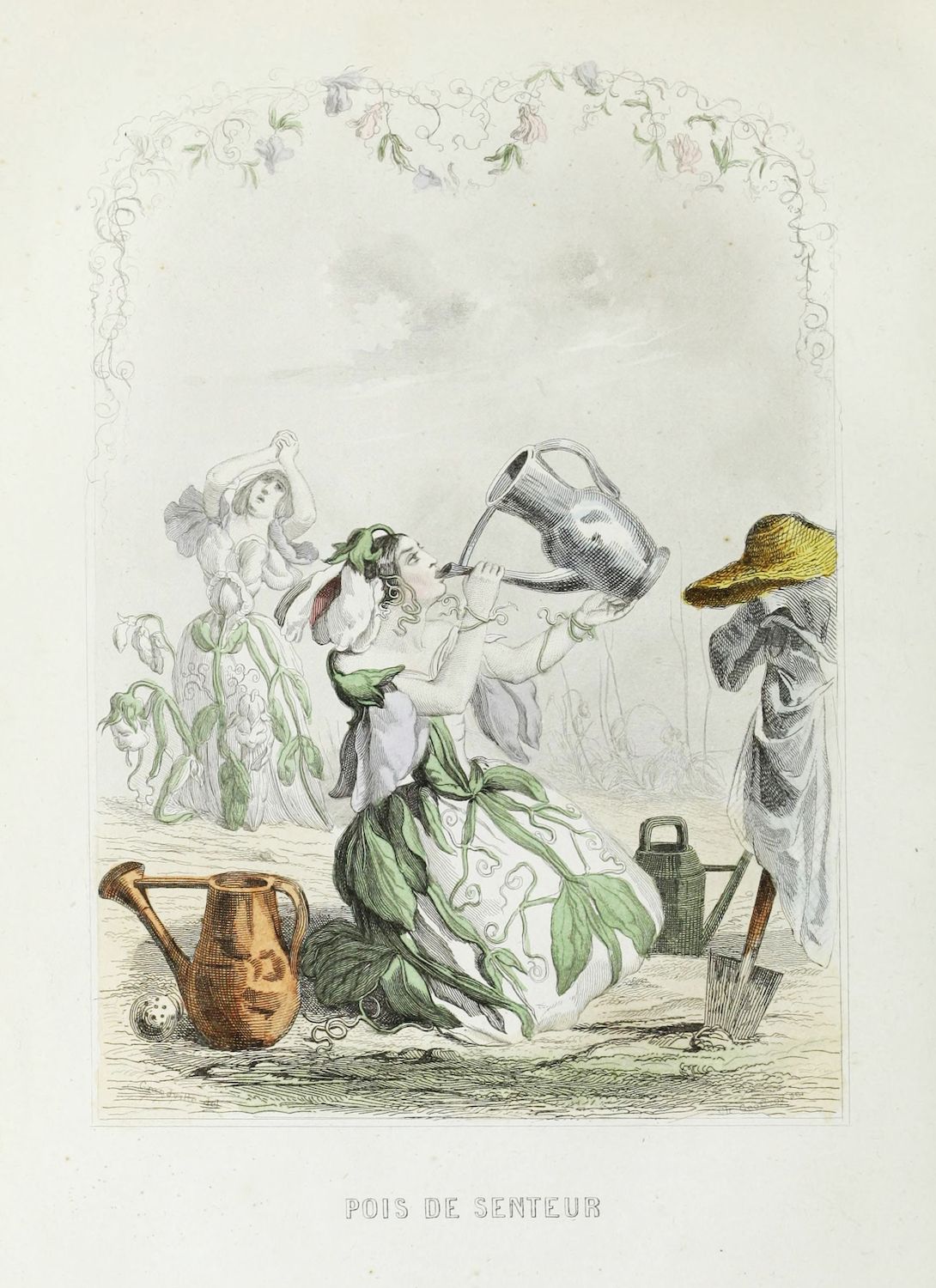 Vintage engraving of a sweet pea plant personified as a woman being watered in a garden.