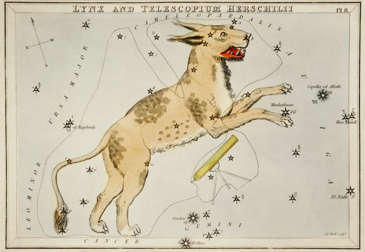 Antique celestial map depicting the constellations Lynx and Telescopium Herschelii, with a spotted animal and a telescope superimposed on a star-filled background.