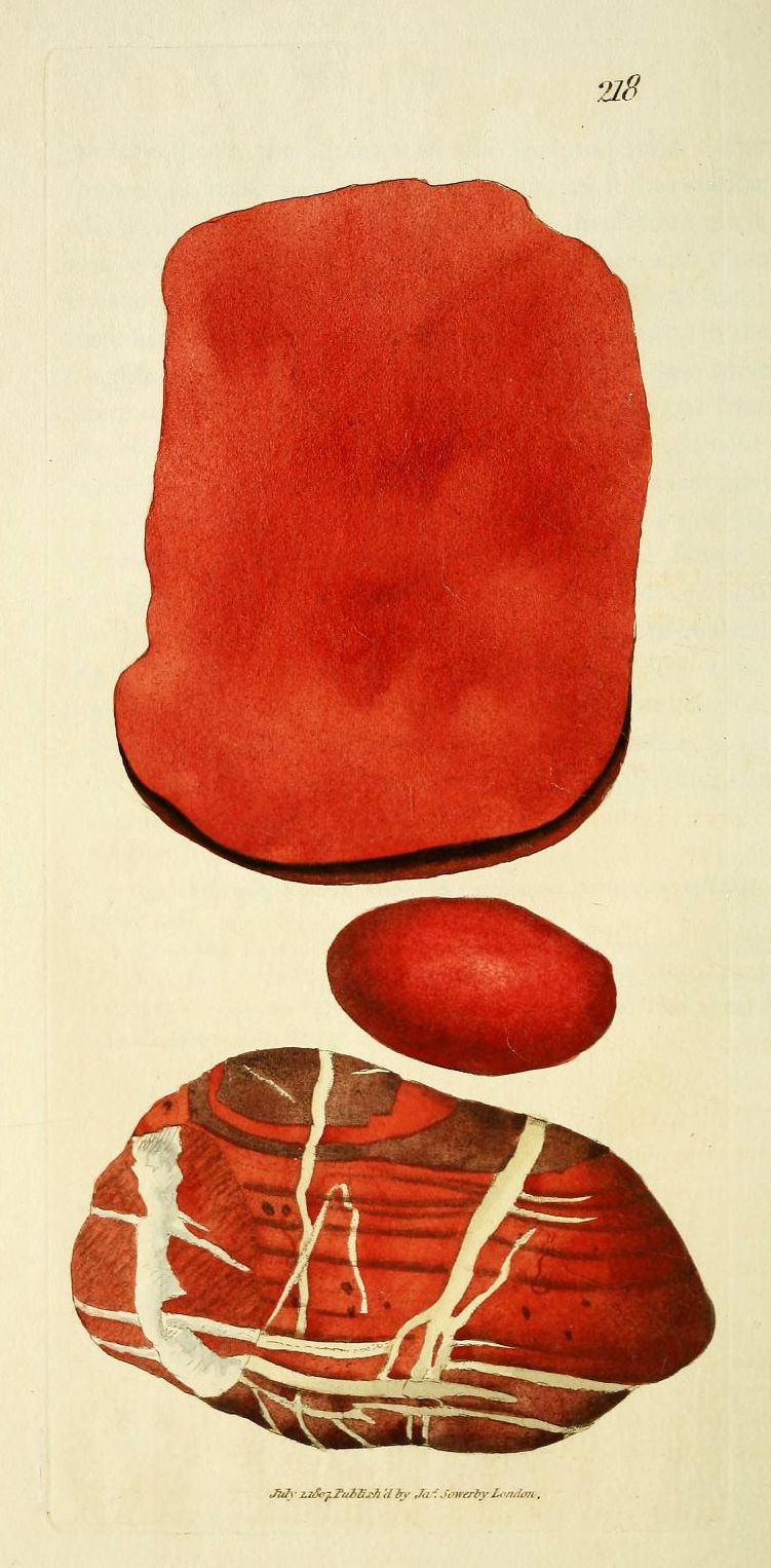 Vintage illustration of three red mineral specimens with white veins, likely from a geological survey or scientific publication.