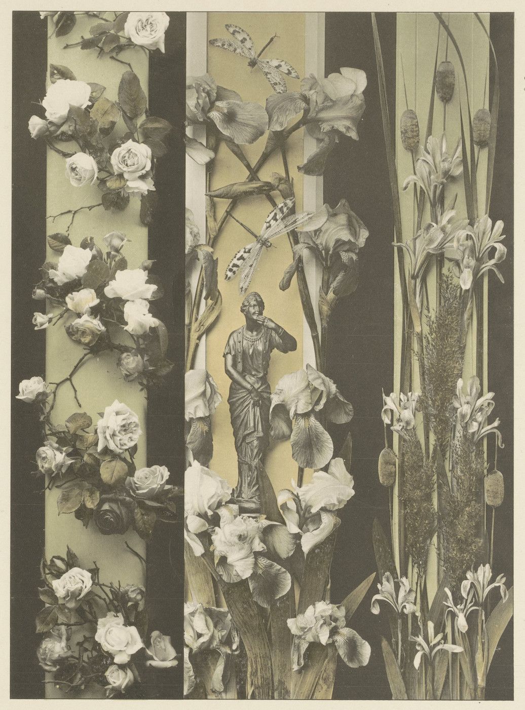 A vintage-style botanical collage featuring three vertical panels of floral arrangements. The left panel is filled with roses, the center panel features a statue amidst irises and dragonflies, and the right panel features tall irises and other flowering plants.