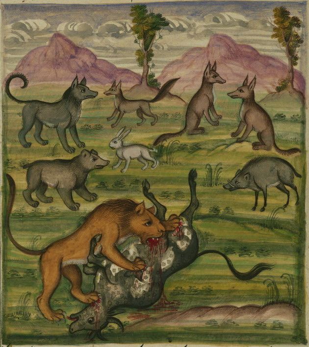 A colorful illustration of a lion attacking a large animal, surrounded by dogs, a hare, and a wild boar, set against a landscape of mountains and trees.