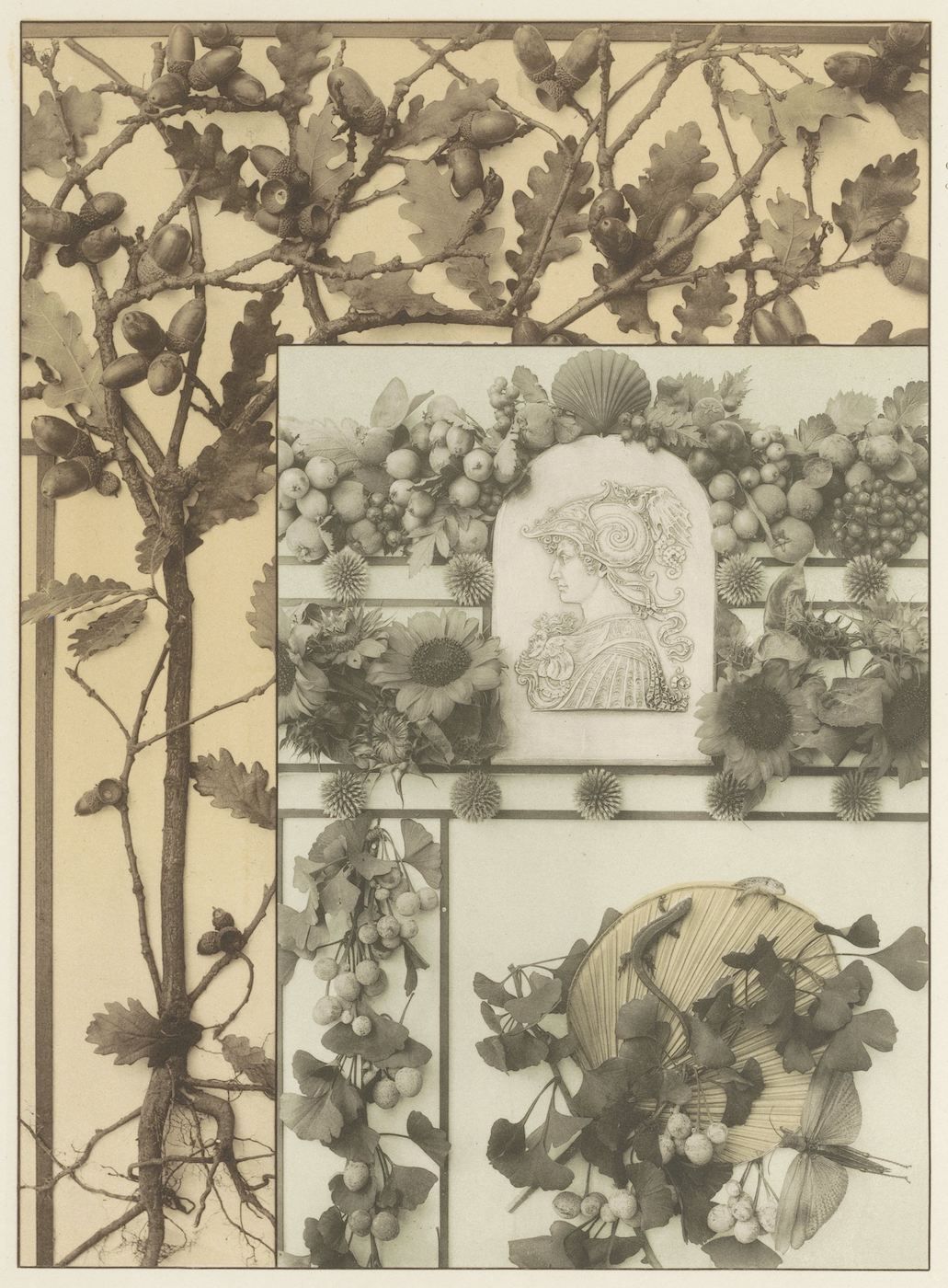 A sepia-toned artwork featuring a framed portrait surrounded by intricate botanical designs of branches, leaves, acorns, and fruits.