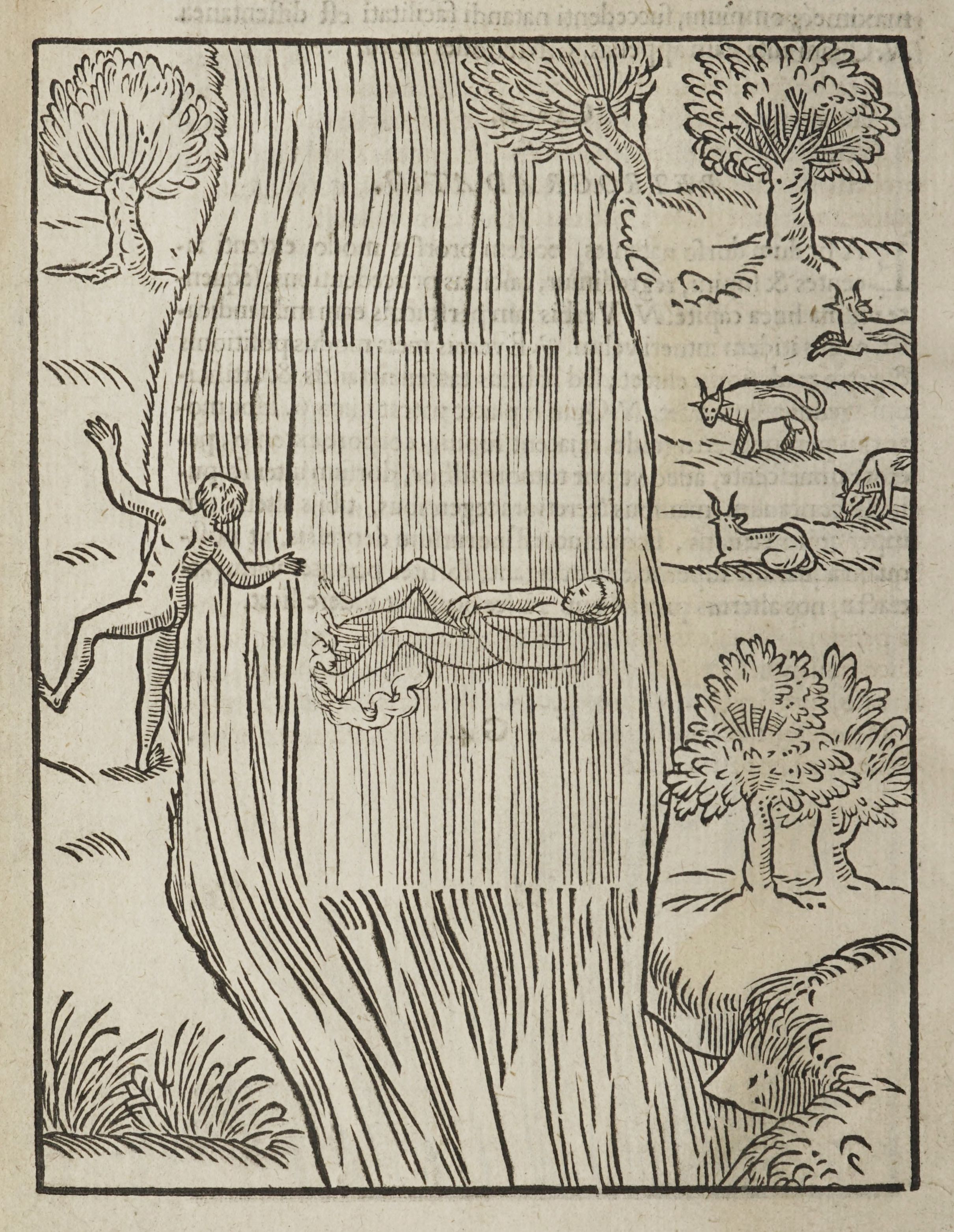 A black and white woodcut illustration depicting a man falling from a height, with another man reaching up to catch him. The scene is framed by trees and vegetation.