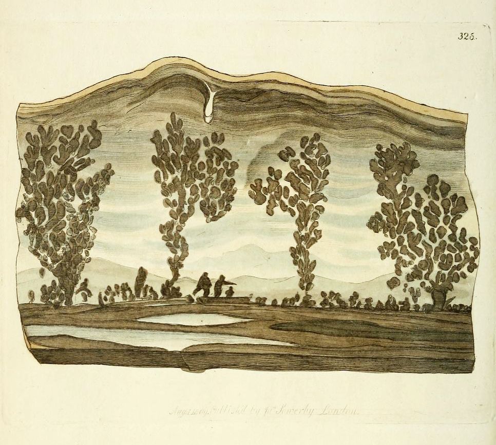 Vintage engraving of a landscape with trees, people, and water.