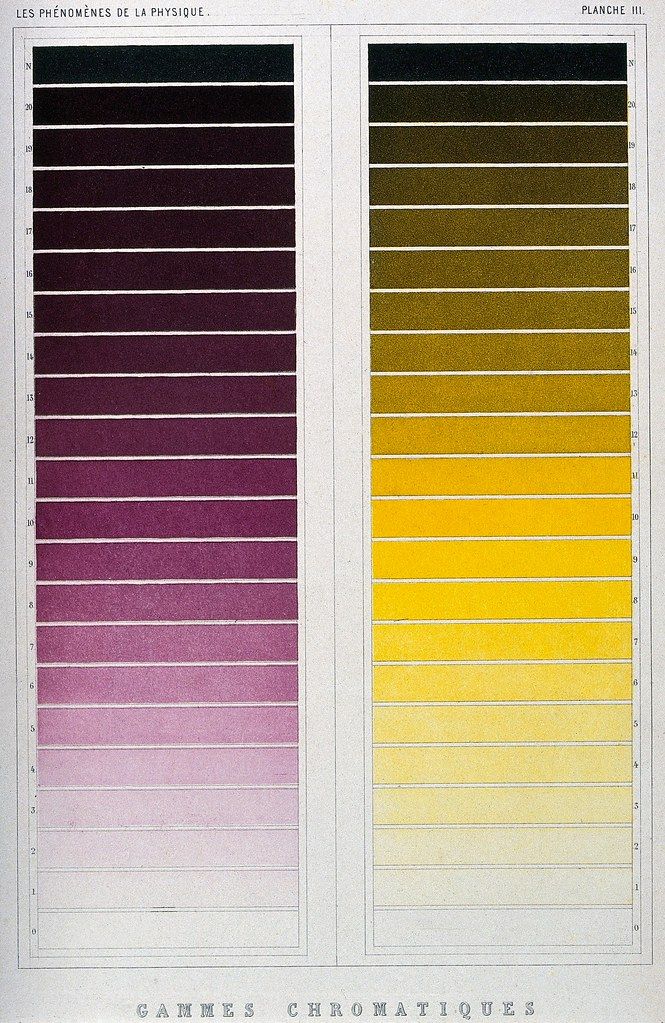 Vintage scientific chart with two color scales, one transitioning from purple to pink and the other from olive green to yellow.