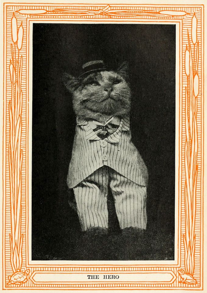 A vintage black and white photograph of a cat dressed in a pinstripe suit and a small hat, framed by an ornate orange border with the words 'THE HERO' printed below.