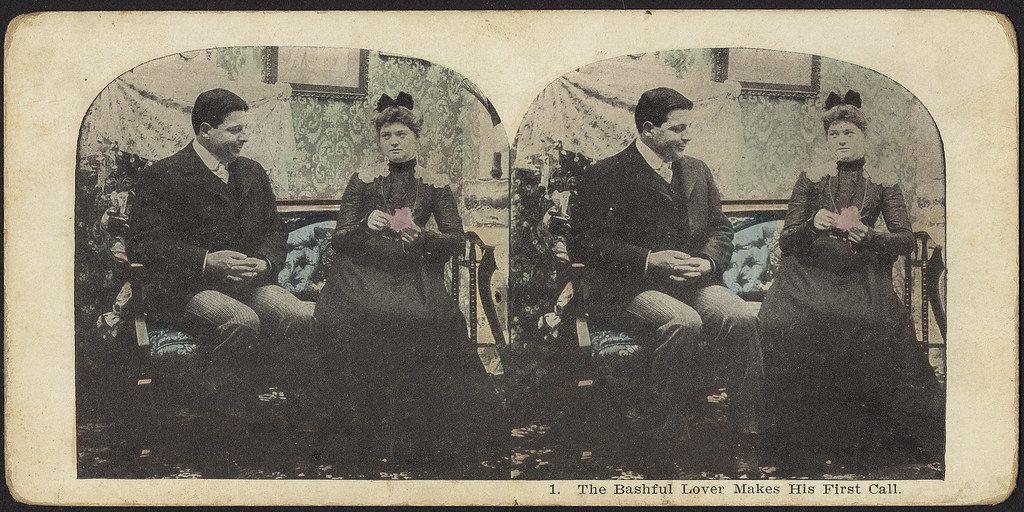 Stereo card titled "The Bashful Lover Makes His First Call" depicting a man and a woman seated in a Victorian-era parlor.