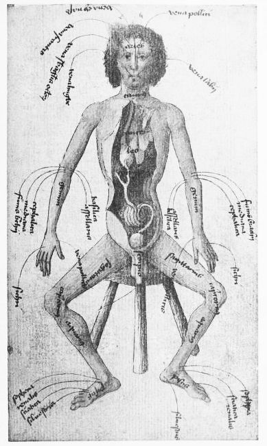 Vintage anatomical diagram of a seated person with internal organs visible and labeled in an old script.
