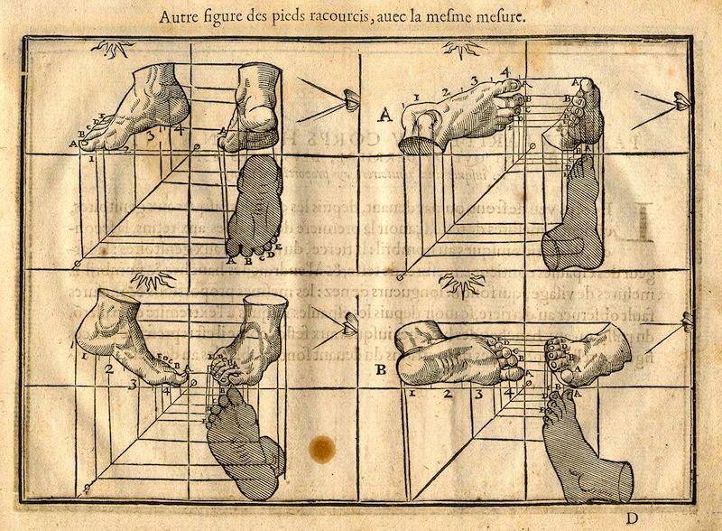 Vintage anatomical illustration of a foot and leg with overlaid lines and a grid.
