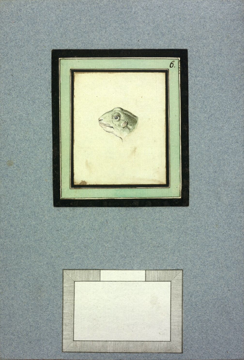Vintage illustration of a frog's head in a framed square, with a blank rectangular space below.