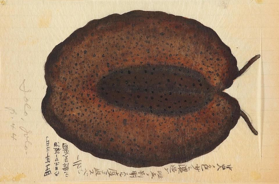 Watercolor painting of a cross-section of a persimmon with Japanese handwriting below.