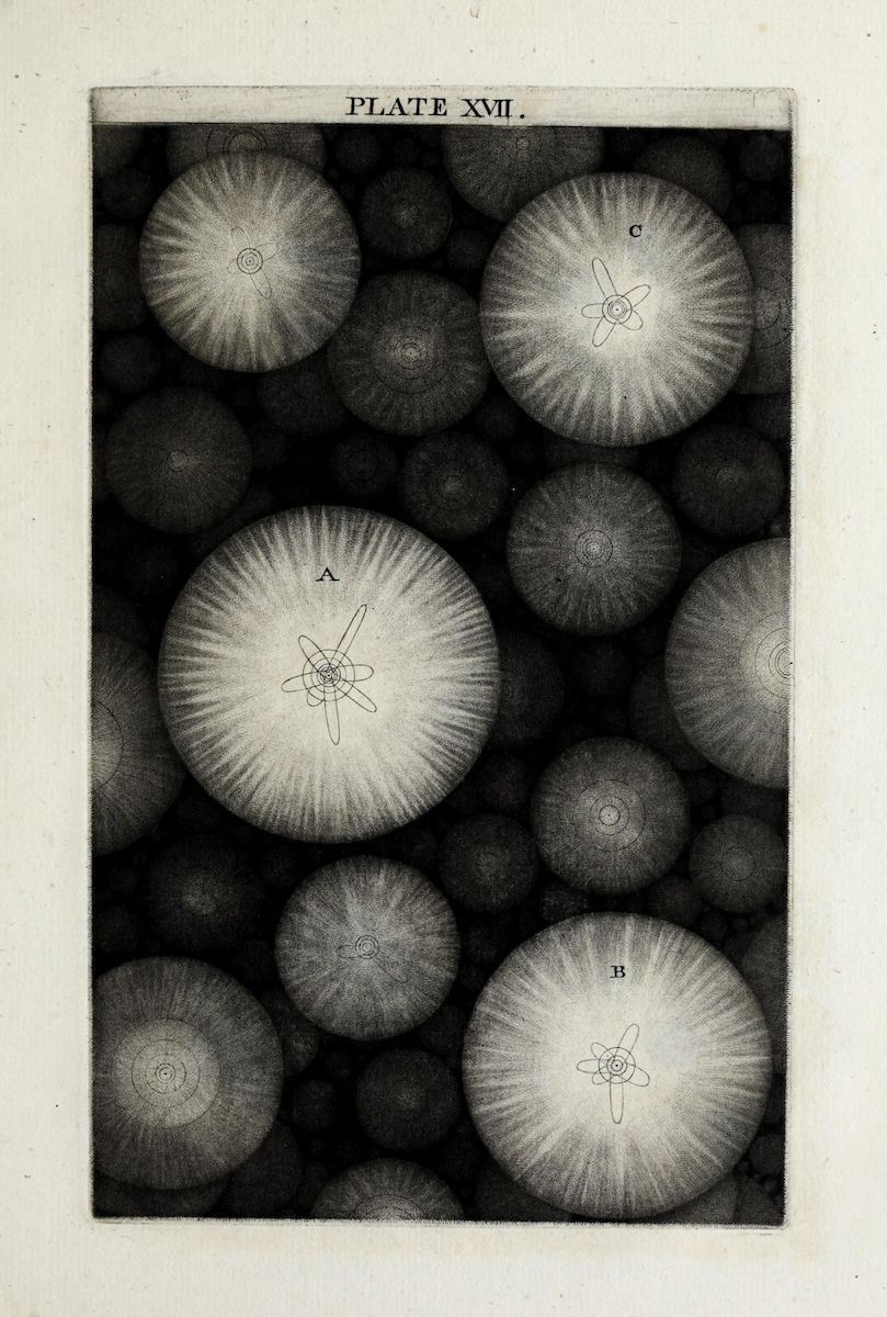 A vintage scientific illustration titled 'PLATE XVII' featuring numerous circular shapes resembling cells, with three highlighted circles labeled 'A', 'B', and 'C' containing intricate line drawings of internal structures.