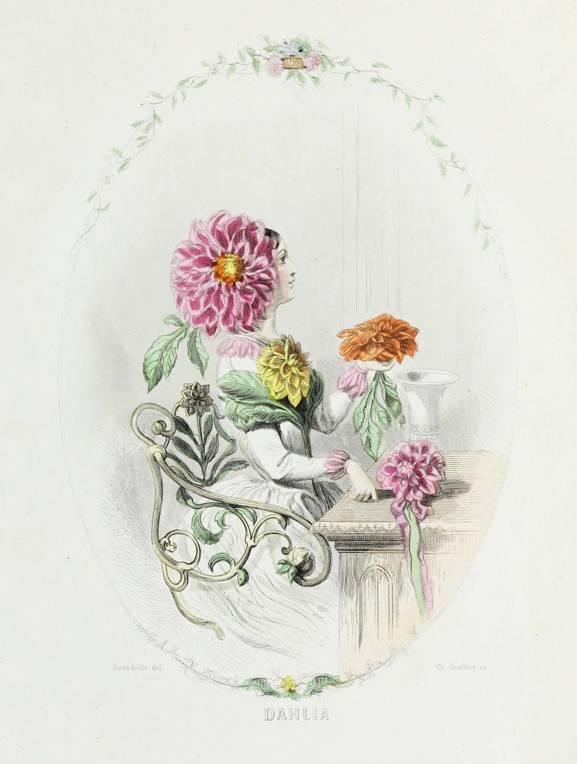 Vintage botanical illustration of a dahlia flower blended with a portrait of a woman.