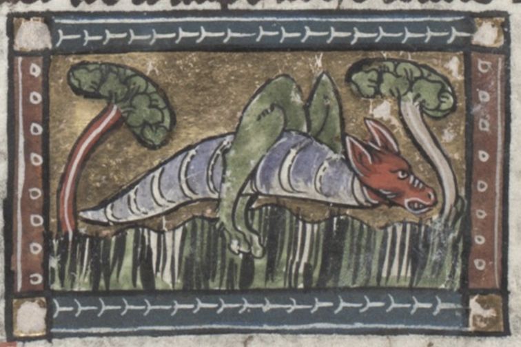 Medieval illustration of a striped dragon with a red head lying in green vegetation, framed by a decorative border.
