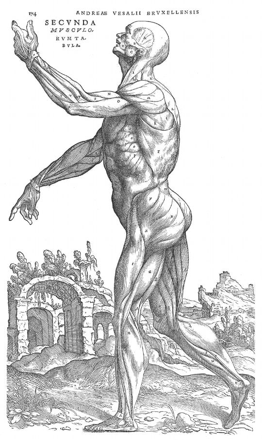 A detailed woodcut illustration of a male figure with exposed muscles, standing in a landscape with architectural ruins.
