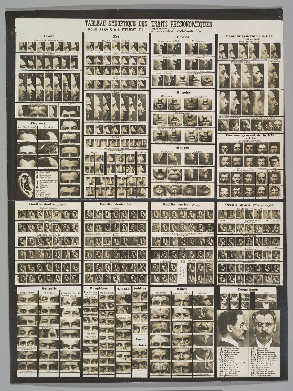 A vintage chart titled "Tableau Synoptique des Traits Physionomiques pour Servir à l'Etude du Portrait Parlé". It's a detailed physiognomic chart with numerous small black and white portraits of faces, each illustrating a specific facial trait.