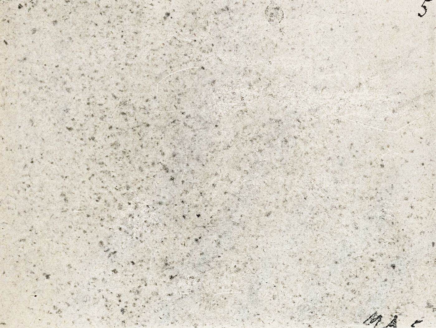 A grainy, speckled texture with faint marks and illegible writing in the corner.