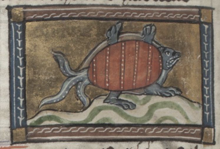 Medieval illustration of a turtle with a reddish-brown shell and gray limbs, set on a wavy green ground and framed by a decorative border.
