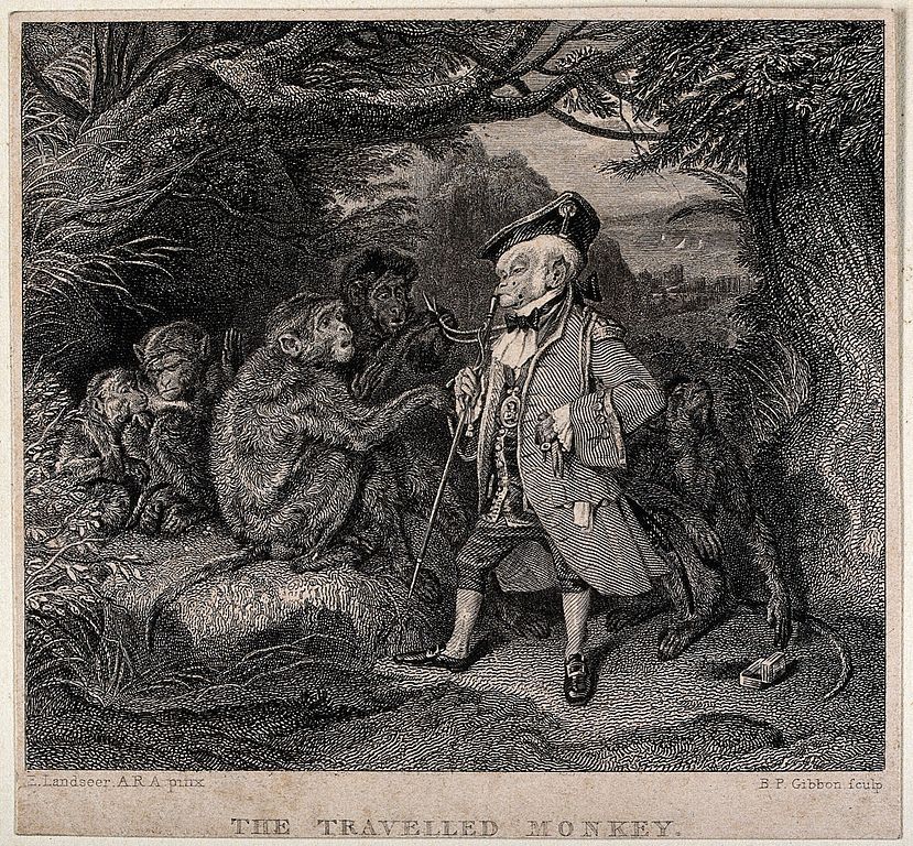 A black and white engraving titled 'The Travelled Monkey' depicts a man in 18th-century attire surrounded by monkeys in a woodland setting.