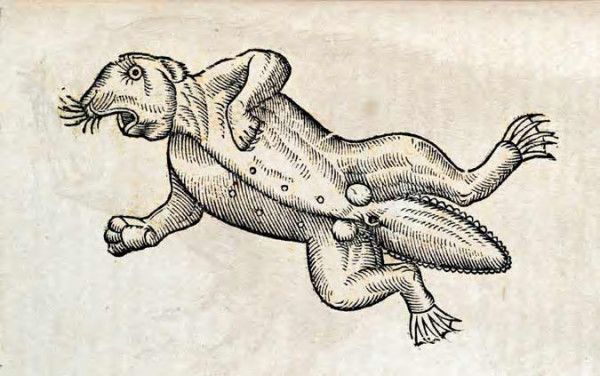 Vintage woodcut illustration of a lion-fish hybrid creature.